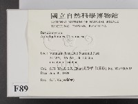 登錄號:F0008949藏品圖，第2張