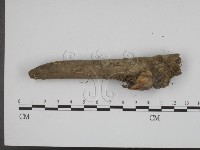 登錄號:F0008949藏品圖，第1張