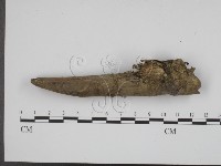 登錄號:F0008949藏品圖，第3張