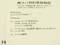 登錄號:F0008952藏品圖，第2張