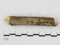 登錄號:F0008952藏品圖，第1張