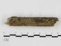 登錄號:F0008952藏品圖，第3張