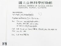 登錄號:F0008954藏品圖，第2張