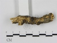 登錄號:F0008957藏品圖，第1張