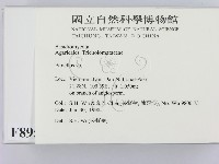 登錄號:F0008959藏品圖，第2張