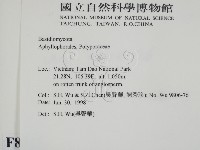 登錄號:F0008962藏品圖，第2張