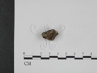 登錄號:F0008963藏品圖，第3張