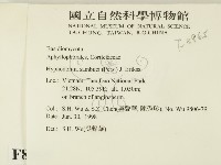 冇骨消絲齒菌藏品圖，第2張