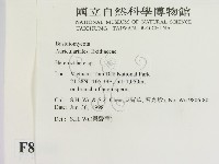 刺皮菌屬藏品圖，第2張