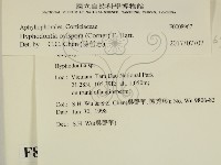 登錄號:F0008967藏品圖，第2張