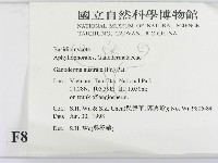 登錄號:F0008968藏品圖，第2張