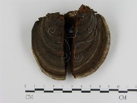 登錄號:F0008968藏品圖，第1張