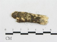 登錄號:F0008970藏品圖，第1張