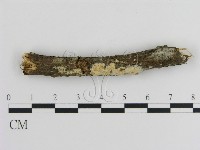 登錄號:F0008975藏品圖，第1張