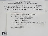 登錄號:F0008978藏品圖，第2張