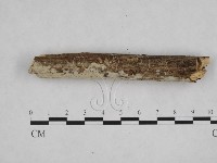 登錄號:F0008978藏品圖，第1張