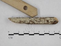 登錄號:F0008978藏品圖，第3張