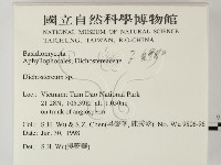 登錄號:F0008980藏品圖，第2張