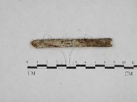 登錄號:F0008981藏品圖，第1張