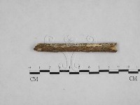 登錄號:F0008981藏品圖，第3張