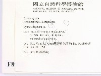 登錄號:F0008983藏品圖，第2張