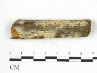 登錄號:F0008983藏品圖，第1張