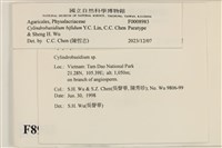登錄號:F0008983藏品圖，第3張