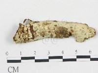 登錄號:F0008984藏品圖，第1張