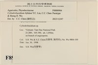 登錄號:F0008984藏品圖，第3張