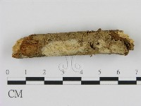 登錄號:F0008986藏品圖，第1張