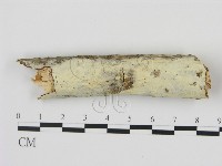 登錄號:F0008990藏品圖，第1張