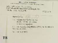 登錄號:F0008992藏品圖，第2張