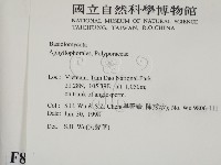 登錄號:F0008993藏品圖，第2張