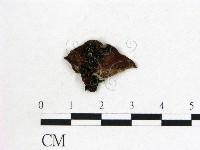 登錄號:F0008996藏品圖，第3張