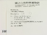 刺皮菌屬藏品圖，第2張