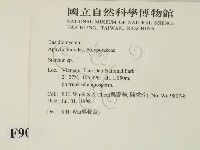 韌革菌屬藏品圖，第2張