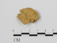 登錄號:F0009001藏品圖，第1張