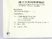 顯絲菌屬藏品圖，第2張