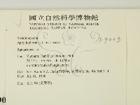 登錄號:F0009003藏品圖，第2張