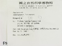 蜂窩菌屬藏品圖，第2張