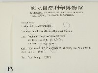 登錄號:F0009005藏品圖，第2張