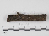 登錄號:F0009005藏品圖，第3張