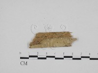 登錄號:F0009007藏品圖，第1張