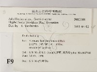 登錄號:F0009008藏品圖，第2張