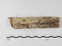 登錄號:F0009008藏品圖，第1張