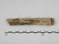 登錄號:F0009008藏品圖，第3張