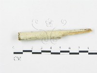 登錄號:F0009009藏品圖，第1張