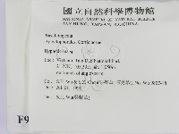 絲皮菌屬藏品圖，第2張