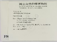 絲齒菌屬藏品圖，第2張