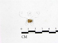 登錄號:F0009014藏品圖，第3張